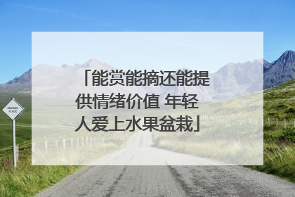 能赏能摘还能提供情绪价值 年轻人爱上水果盆栽