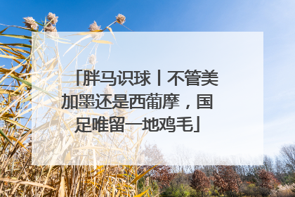 胖马识球丨不管美加墨还是西葡摩，国足唯留一地鸡毛