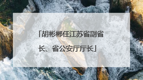 胡彬郴任江苏省副省长、省公安厅厅长