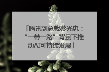 腾讯副总裁蔡光忠：“一带一路”背景下推动AI可持续发展