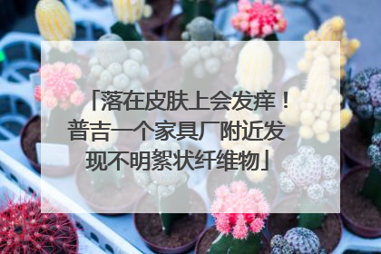 落在皮肤上会发痒！普吉一个家具厂附近发现不明絮状纤维物
