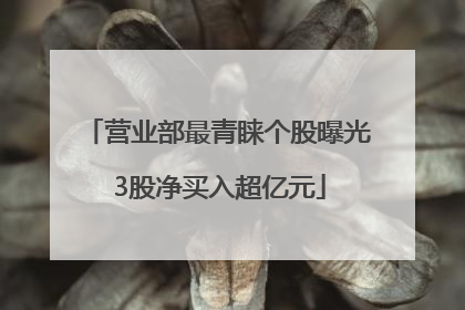 营业部最青睐个股曝光 3股净买入超亿元