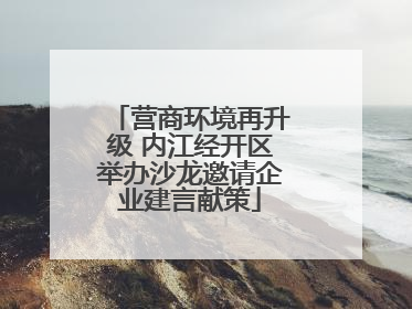 营商环境再升级 内江经开区举办沙龙邀请企业建言献策