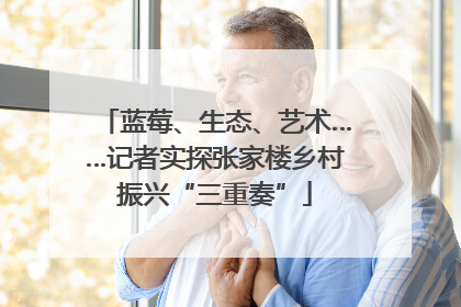 蓝莓、生态、艺术……记者实探张家楼乡村振兴“三重奏”