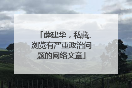 薛建华，私藏、浏览有严重政治问题的网络文章