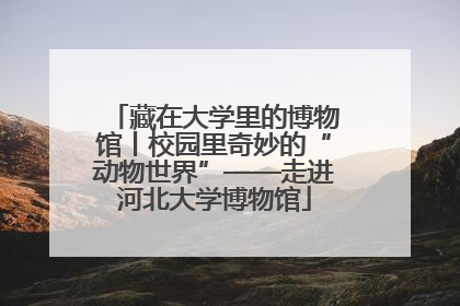 藏在大学里的博物馆丨校园里奇妙的“动物世界”——走进河北大学博物馆