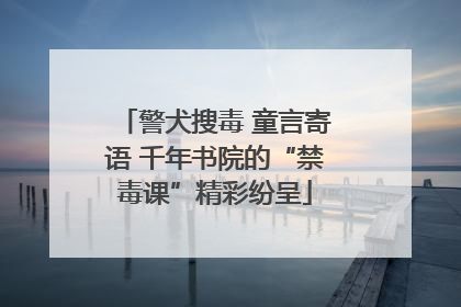 警犬搜毒 童言寄语 千年书院的“禁毒课”精彩纷呈