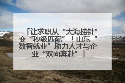 让求职从“大海捞针”变“秒级匹配”！山东“数智就业”助力人才与企业“双向奔赴”