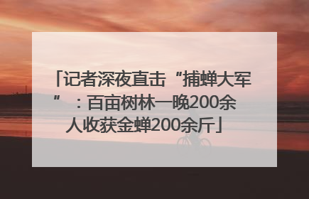 记者深夜直击“捕蝉大军”：百亩树林一晚200余人收获金蝉200余斤