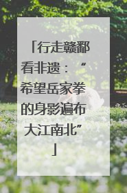 行走赣鄱看非遗：“希望岳家拳的身影遍布大江南北”