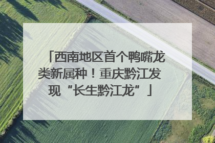 西南地区首个鸭嘴龙类新属种！重庆黔江发现“长生黔江龙”