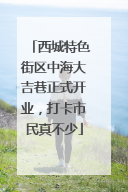 西城特色街区中海大吉巷正式开业，打卡市民真不少