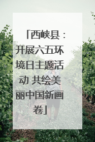 西峡县：开展六五环境日主题活动 共绘美丽中国新画卷