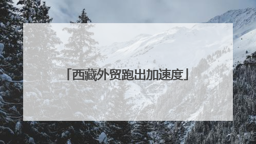 西藏外贸跑出加速度