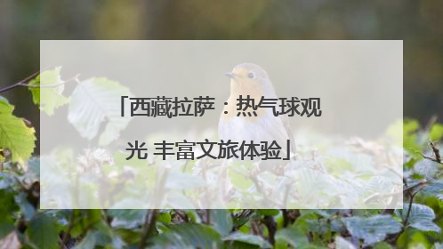 西藏拉萨：热气球观光 丰富文旅体验