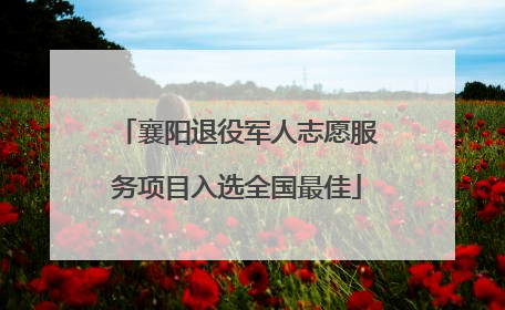 襄阳退役军人志愿服务项目入选全国最佳