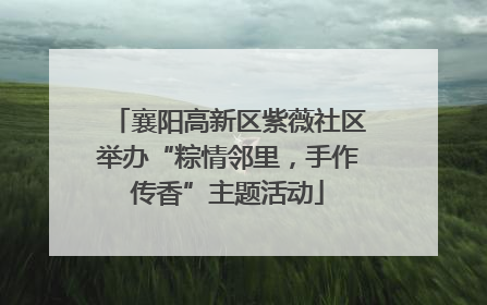 襄阳高新区紫薇社区举办“粽情邻里，手作传香”主题活动