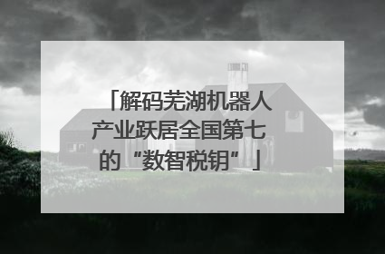 解码芜湖机器人产业跃居全国第七的“数智税钥”