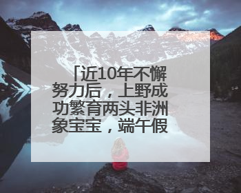 近10年不懈努力后，上野成功繁育两头非洲象宝宝，端午假期华东首展