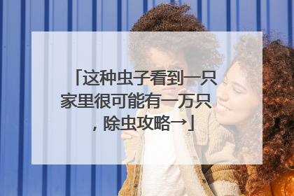 这种虫子看到一只家里很可能有一万只，除虫攻略→