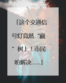 这个交通信号灯竟然“藏”树上！市民盼解决……