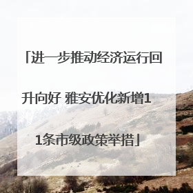 进一步推动经济运行回升向好 雅安优化新增11条市级政策举措