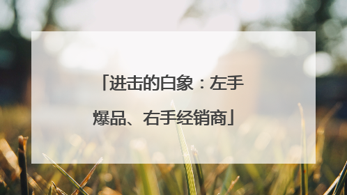 进击的白象：左手爆品、右手经销商
