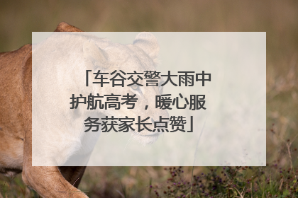 车谷交警大雨中护航高考，暖心服务获家长点赞