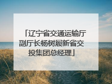辽宁省交通运输厅副厅长杨树履新省交投集团总经理