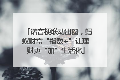 谐音梗联动出圈，蚂蚁财富“指数+”让理财更“加”生活化