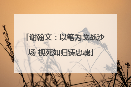 谢翰文：以笔为戈战沙场 视死如归铸忠魂