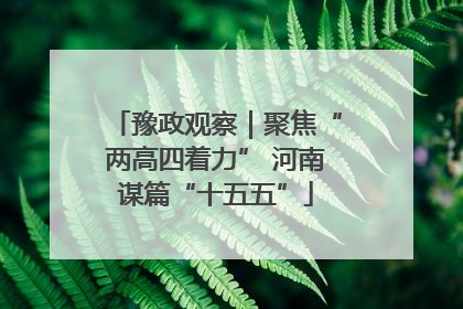 豫政观察｜聚焦“两高四着力” 河南谋篇“十五五”