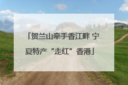 贺兰山牵手香江畔 宁夏特产“走红”香港