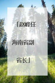 赵峰任海南省副省长