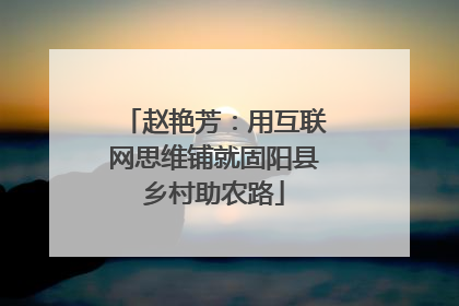 赵艳芳：用互联网思维铺就固阳县乡村助农路