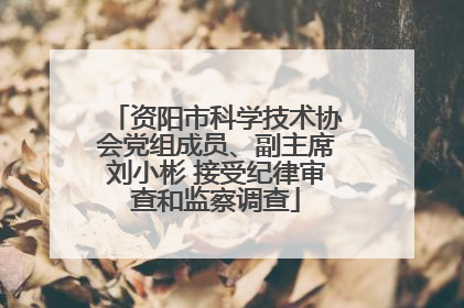 资阳市科学技术协会党组成员、副主席刘小彬 接受纪律审查和监察调查