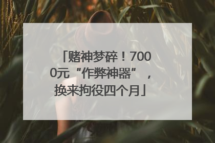 赌神梦碎！7000元“作弊神器”，换来拘役四个月