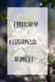 赞比亚举行活动纪念非洲日