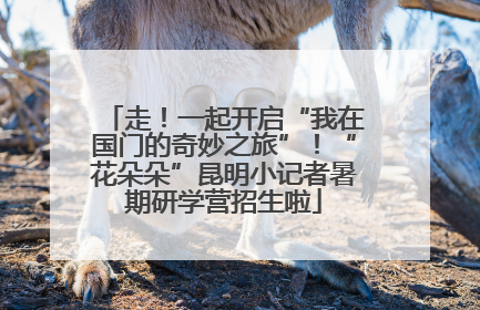 走！一起开启“我在国门的奇妙之旅”！“花朵朵”昆明小记者暑期研学营招生啦