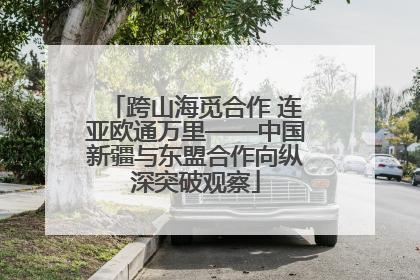 跨山海觅合作 连亚欧通万里——中国新疆与东盟合作向纵深突破观察