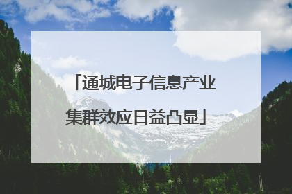 通城电子信息产业集群效应日益凸显