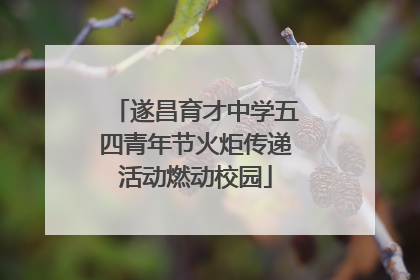 遂昌育才中学五四青年节火炬传递活动燃动校园