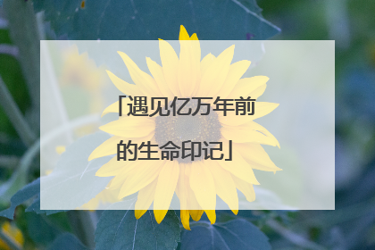 遇见亿万年前的生命印记