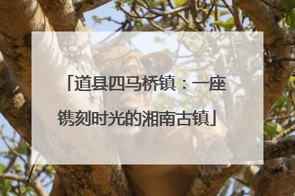 道县四马桥镇：一座镌刻时光的湘南古镇