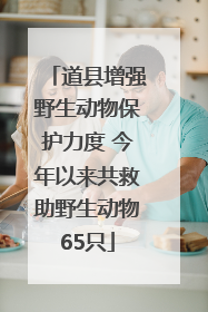 道县增强野生动物保护力度 今年以来共救助野生动物65只