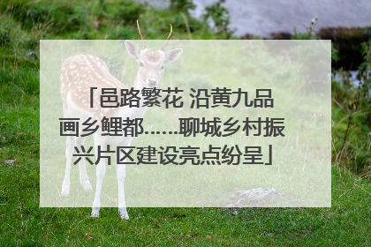 邑路繁花 沿黄九品 画乡鲤都……聊城乡村振兴片区建设亮点纷呈