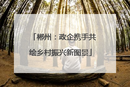 郴州：政企携手共绘乡村振兴新图景