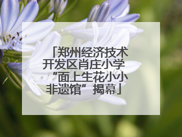 郑州经济技术开发区肖庄小学“面上生花小小非遗馆”揭幕