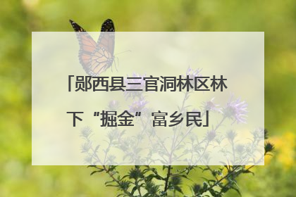 郧西县三官洞林区林下“掘金”富乡民
