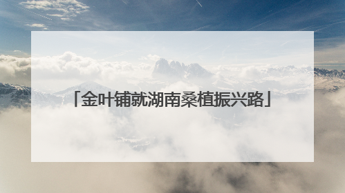 金叶铺就湖南桑植振兴路